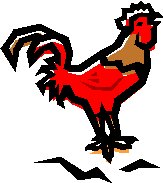 rooster